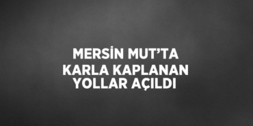 30739301402378126513tasarimli