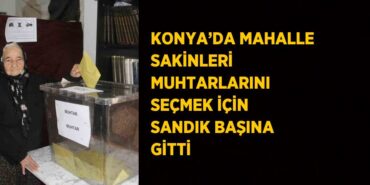 30741296553114330015