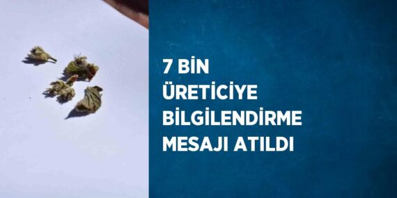 7 BİN ÜRETİCİYE BİLGİLENDİRME MESAJI ATILDI