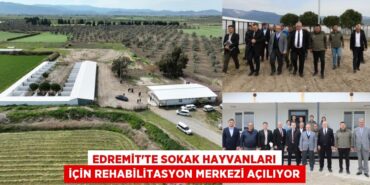 30746237892695229751tasarimli