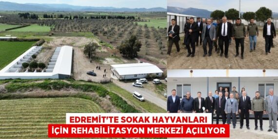 EDREMİT’TE SOKAK HAYVANLARI İÇİN REHABİLİTASYON MERKEZİ AÇILIYOR