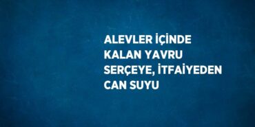 30756306092344020222