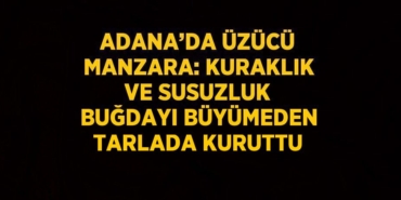 30762235462684328305tasarimli