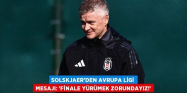 30766231493165727717tasarimli