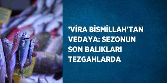 ’VİRA BİSMİLLAH’TAN VEDAYA: SEZONUN SON BALIKLARI TEZGAHLARDA