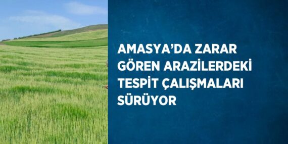 AMASYA’DA ZARAR GÖREN ARAZİLERDEKİ TESPİT ÇALIŞMALARI SÜRÜYOR
