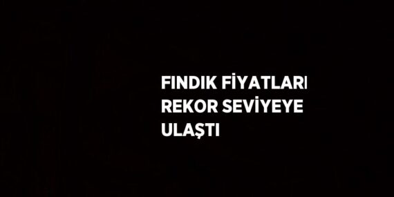 FINDIK FİYATLARI REKOR SEVİYEYE ULAŞTI