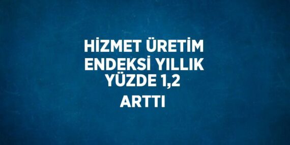 HİZMET ÜRETİM ENDEKSİ YILLIK YÜZDE 1,2 ARTTI