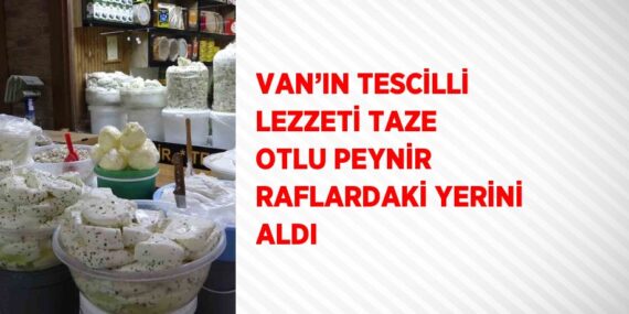 VAN’IN TESCİLLİ LEZZETİ TAZE OTLU PEYNİR RAFLARDAKİ YERİNİ ALDI