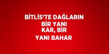 30801288962661224391tasarimli