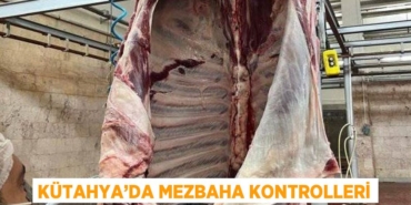 30801313102952225314