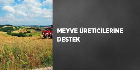 MEYVE ÜRETİCİLERİNE DESTEK