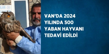 30811226622036131989