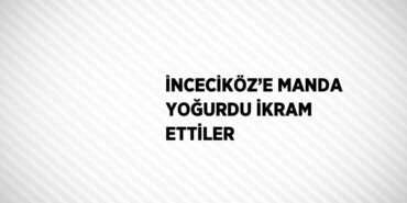 30812205542724325320