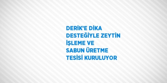 DERİK’E DİKA DESTEĞİYLE ZEYTİN İŞLEME VE SABUN ÜRETME TESİSİ KURULUYOR