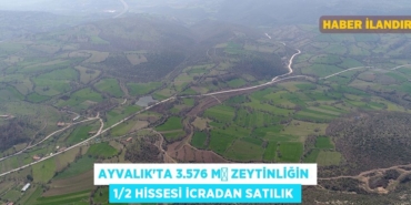 30814204133048125194tasarimli