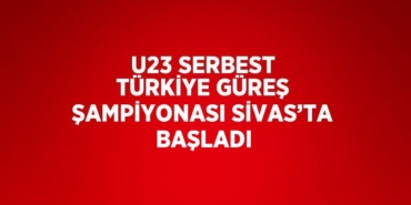 30819213263170826113tasarimli