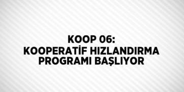 30829205592717524323tasarimli