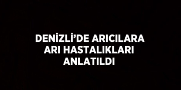 30830278003137928819tasarimli