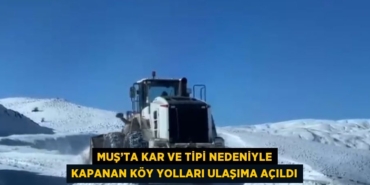 30833273072735429462tasarimli
