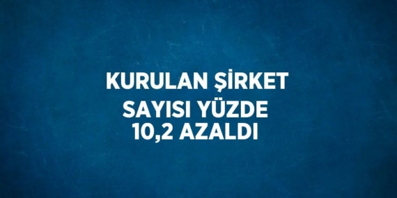 KURULAN ŞİRKET SAYISI YÜZDE 10,2 AZALDI