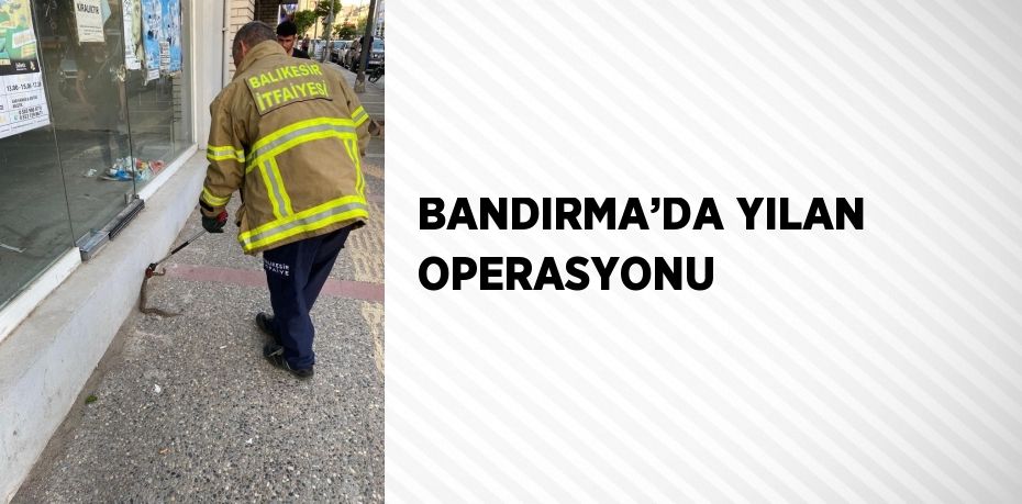 30837290622702130878