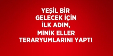 30840274452225921210tasarimli