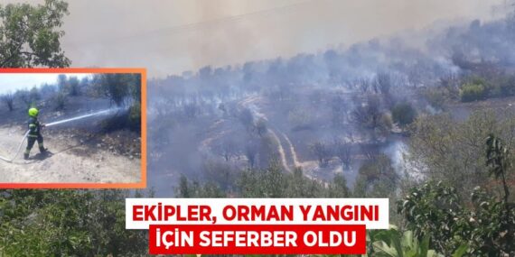 Ekipler, orman yangını için seferber oldu