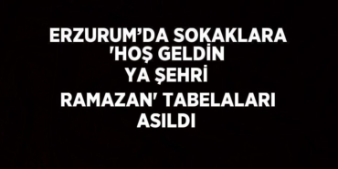 30847246462959728763tasarimli