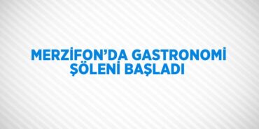 30851241852538727929tasarimli