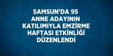 30855288812716021404tasarimli