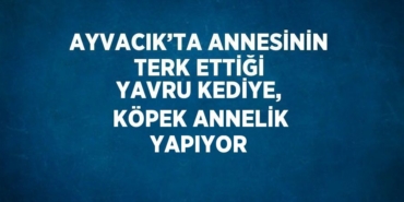 30860303132142020025tasarimli