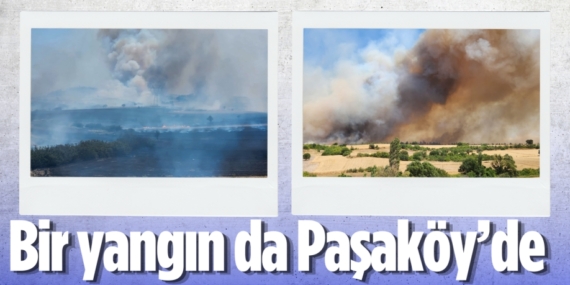Bir yangın da Paşaköy’de