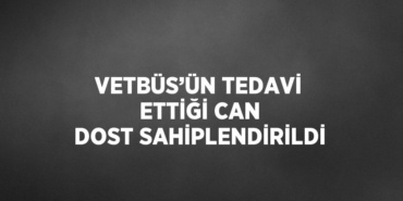 30867292493036325514tasarimli