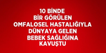 30869273972195425862tasarimli