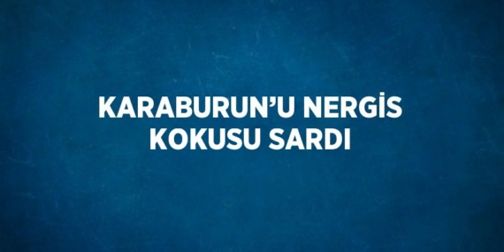 KARABURUN’U NERGİS KOKUSU SARDI