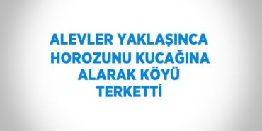 30874209582679131875tasarimli
