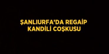 30877213902358530120tasarimli