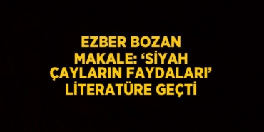 30878246532504720058tasarimli