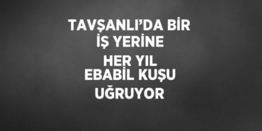 30883221842351731188tasarimli