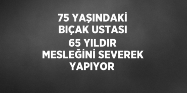 30900209992684522529tasarimli