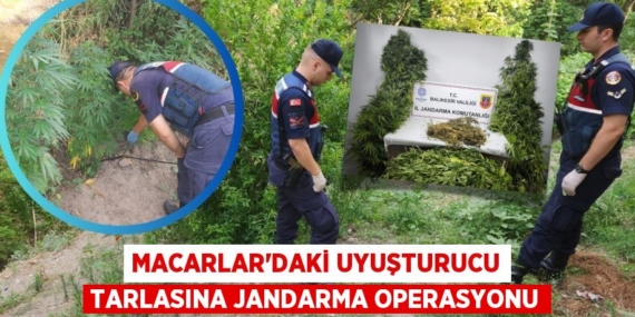 MACARLAR’DAKİ UYUŞTURUCU TARLASINA JANDARMA OPERASYONU