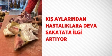 30919240982672525661