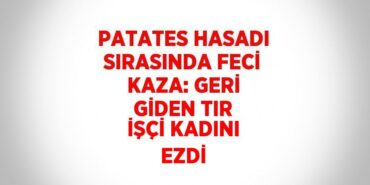 30928279162081425613tasarimli