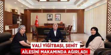 30931206002228823072tasarimli