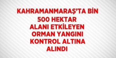 30932229493107127582tasarimli