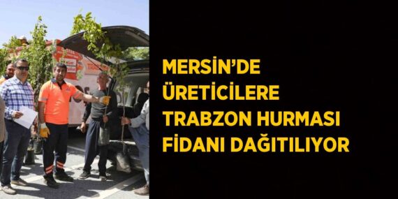 MERSİN’DE ÜRETİCİLERE TRABZON HURMASI FİDANI DAĞITILIYOR