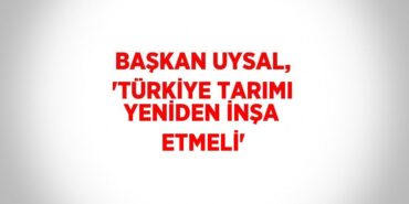 30934247172688423438tasarimli