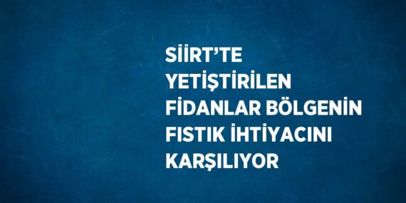 SİİRT’TE YETİŞTİRİLEN FİDANLAR BÖLGENİN FISTIK İHTİYACINI KARŞILIYOR