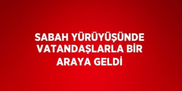 30944265093093727487tasarimli